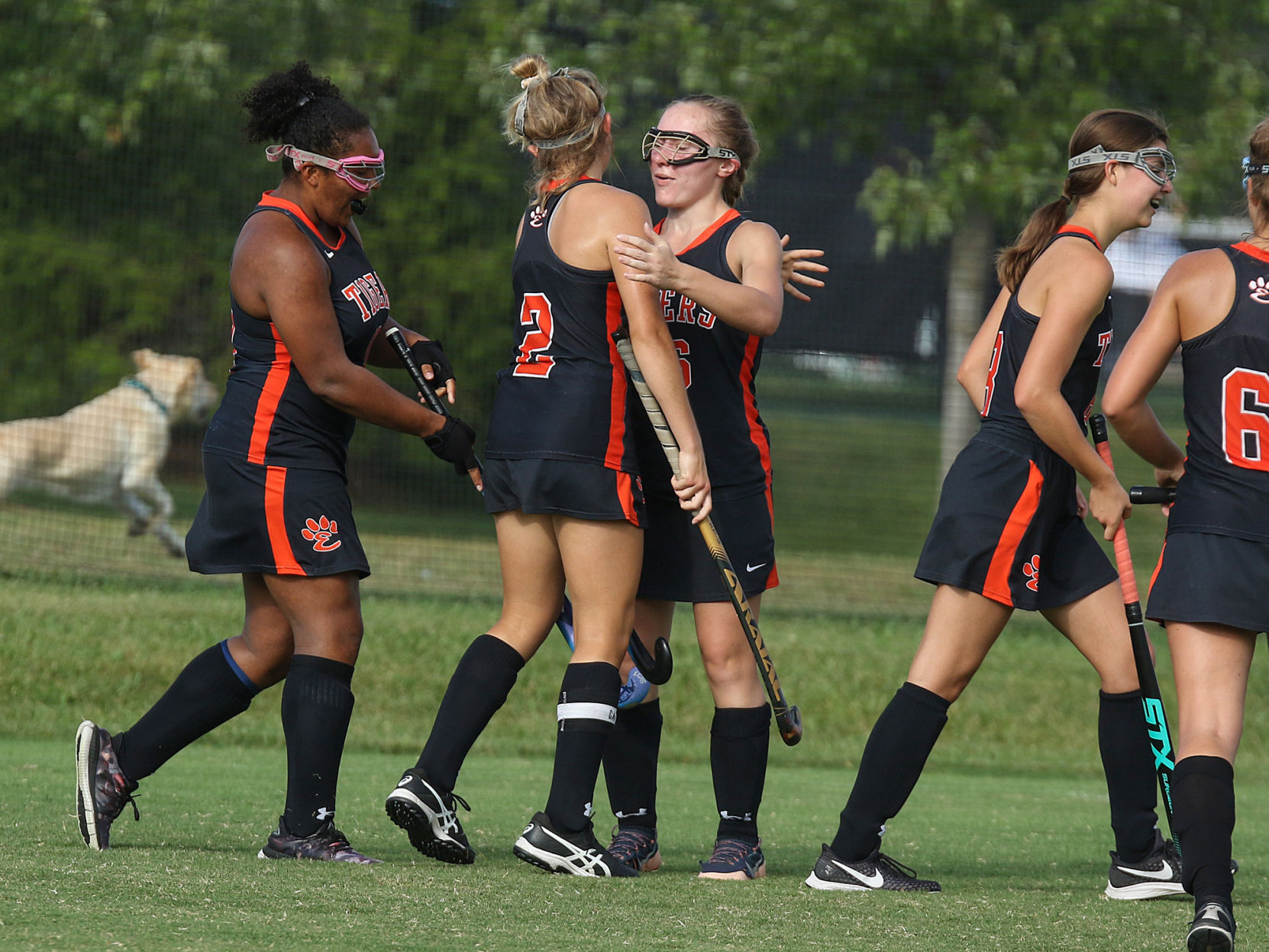 Westminster vs. Edwardsville field hockey